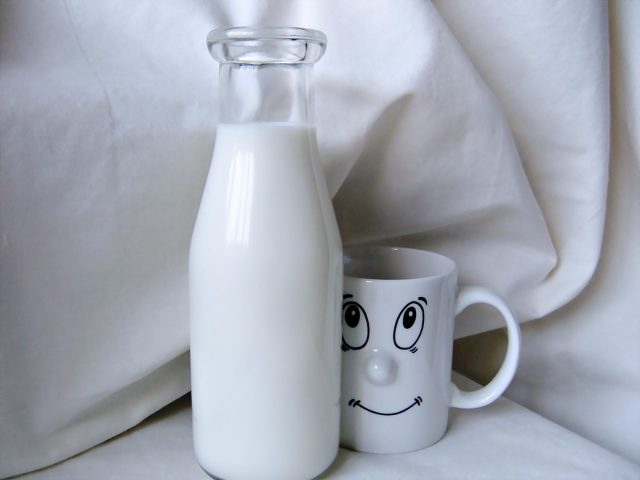 cup cow ceramic kettle drink bottle 1083086 pxhere.com 640x480 1